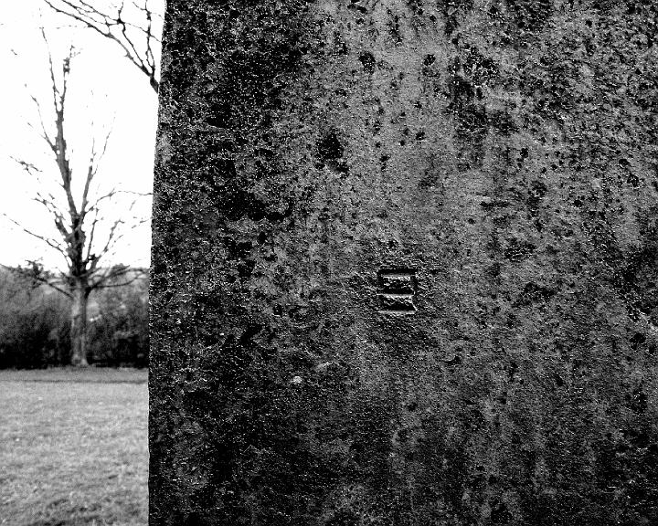 Luz en la memoria-020.jpg - DCF 1.0